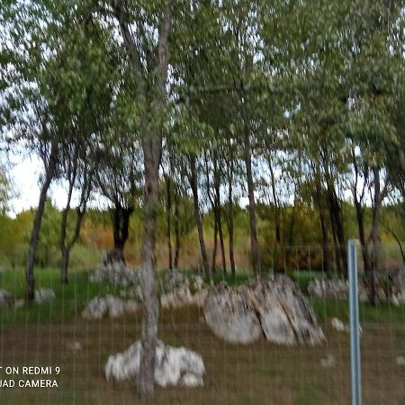 Apartman Deda Rakovica Exteriör bild
